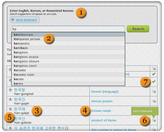 Dictionary Features